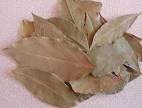Bay Leaf